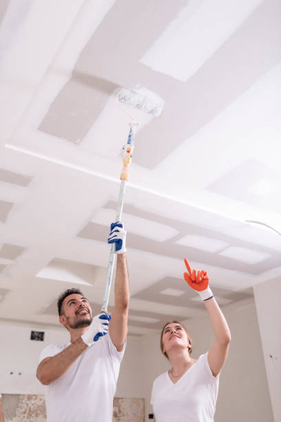 Professional Mold Removal in Brighton, TN