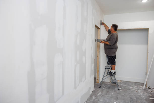 Best Post-Construction Mold Inspection  in Brighton, TN
