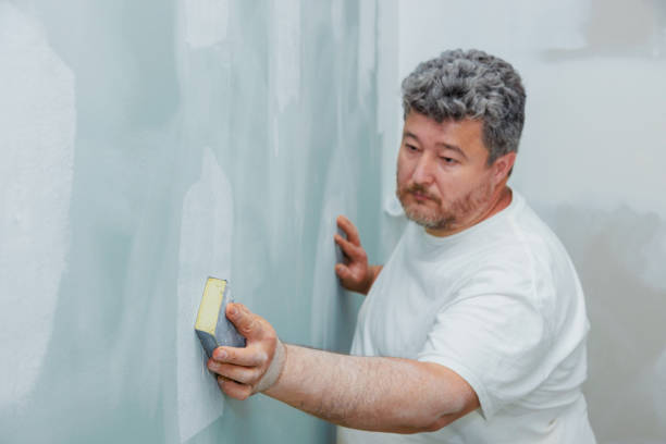 Best Mold Prevention Services  in Brighton, TN