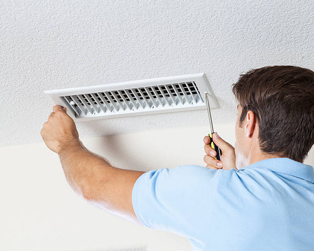 Best Water Damage & Mold Remediation  in Brighton, TN