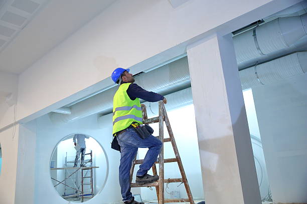 Best Emergency Mold Remediation  in Brighton, TN
